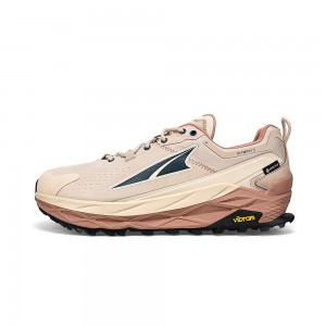 Altra OLYMPUS 5 HIKE LOW GTX Trailsko Herre Brune | AL6158H29