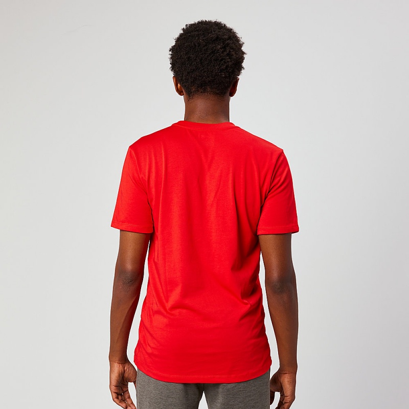 Altra EVERYDAY RECYCLED TEE T-Shirt Herre Rød | AL8109A50